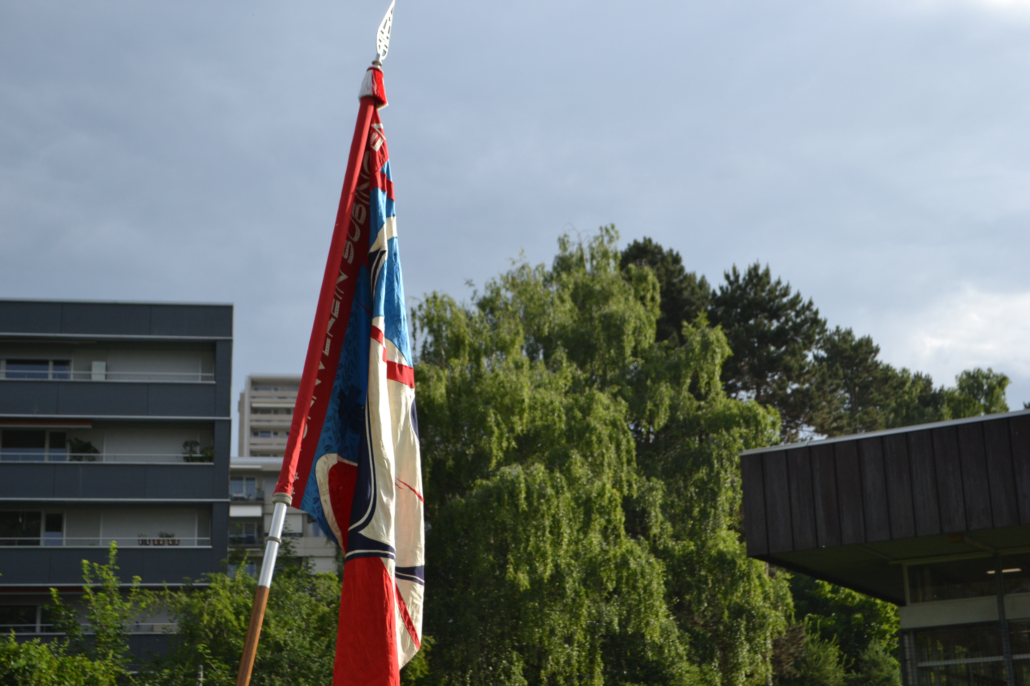 Bild (31)
